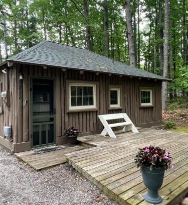 Higgins Lake House | The Higgins Lake Hideaway - Super Cute!