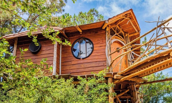 Paige Cabin | The Hobbit's Nest, A Magical Dog-friendly Treehouse in the Lost Pines Shire