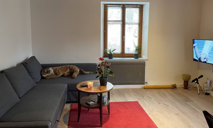 Le Hohwald Apartment | The Hohwald center family house capacity 8 people