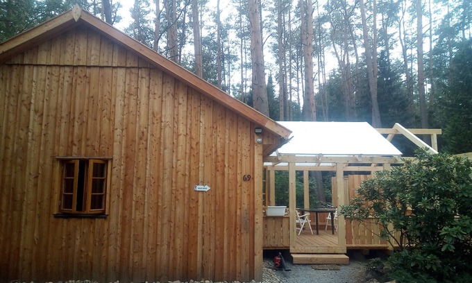 Suderburg House | The holiday home "Ortheide 69" is located in a forest settlement with large trees.