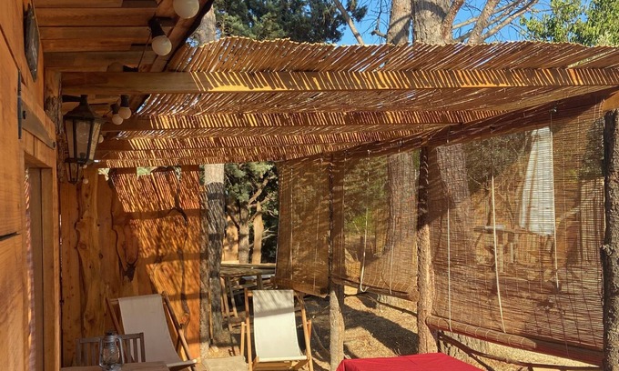 Apt Cabin | The Hut of Happiness