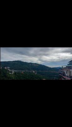 Kumarhatti Apartment | The ivyview villa