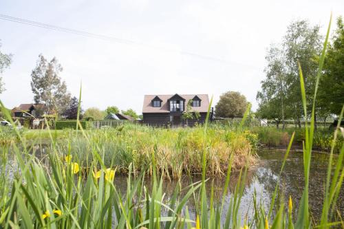 Alfold House | The Lakehouse Apartment by inspirestays-com