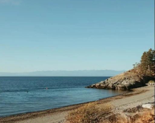 Powell River Other | The Little Beach Side CabinA11