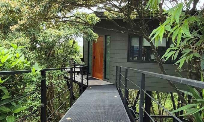 Monteverde Apartment | The Moon Studio a Special Treetop Experience in Monteverde.