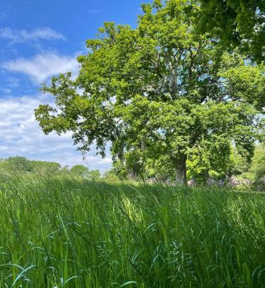 New Forest District Bed & Breakfast | The Retreat New Forest, Hinton