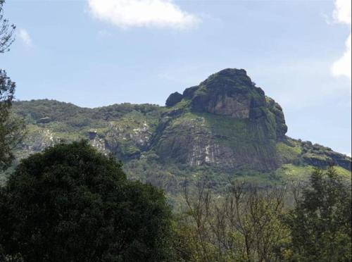 Sangameswarpet House | The Sattva Nature Retreat