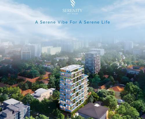 District 3 Apartment | The Serenity Sky Villas D3