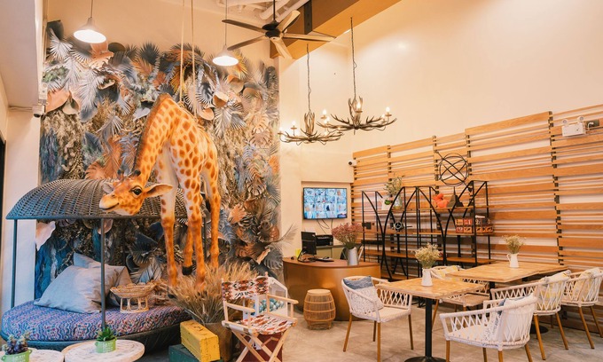 Chang Phueak Hotel | The Standard Room Queen Bed: Tapir