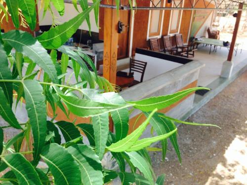 Kataragama House | The Summer Corridor - Kataragama