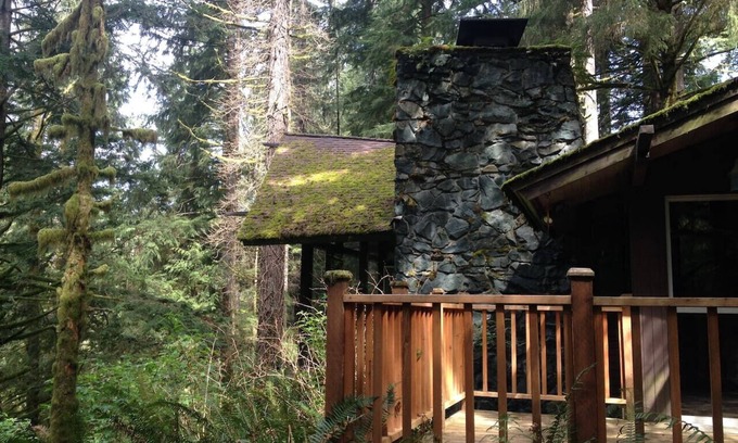 North Bend Cabin | The Treehouse; cabin in the woods, close to town!