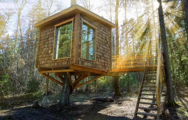 Kohila Other | Tiigrisilma Treehouse