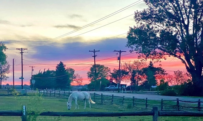 Montrose Cottage | Tilted Rooster Ranch Guesthouse - 5 Minutes from Airport & 10 From Downtown