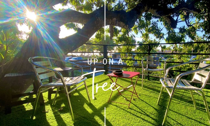 Punaauia House | Tiny house by the sea with its private pool - under a tree