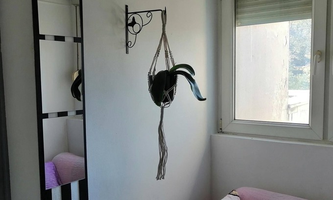 Palilula Apartment | Tiny Romantic Flat in the Centre