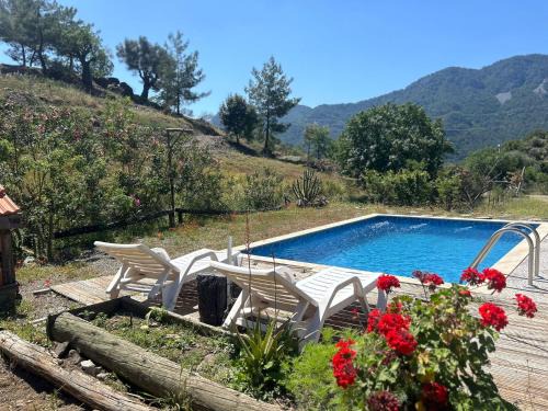 Ortaca Ski Chalet | Togo iztuzu Stonehouse-3