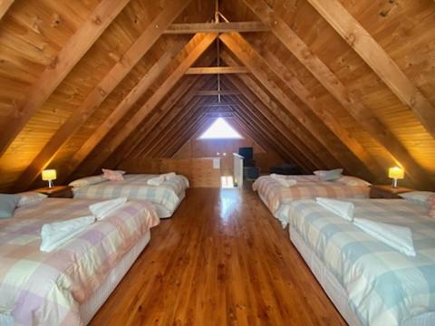Millfield House | Tommy's Shack
