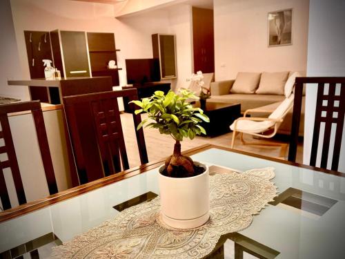 Timisoara Apartment | Toronto rezidence