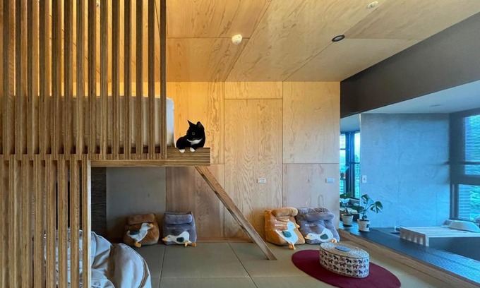Toucheng Apartment | Toucheng Joyful 宜蘭海景民宿-頭城小確幸 寵物友善 電動車免費充電 附早餐