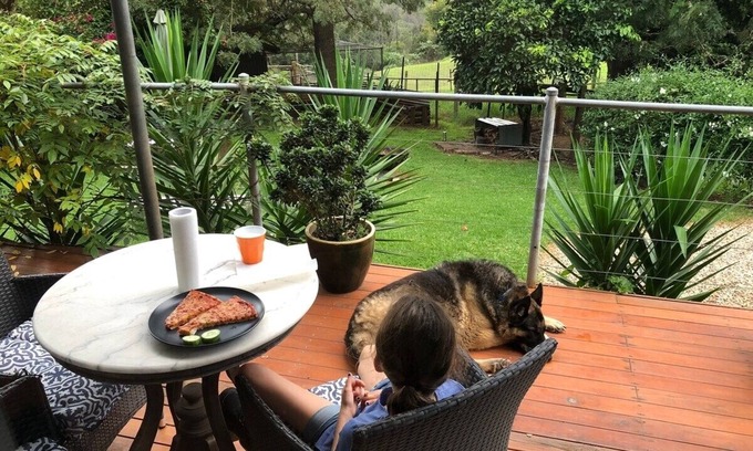 Grose Vale Cottage | Tranquil Farmstay Cottage KURRAJONG on acres pet friendly 1 hr Syd