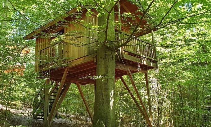 Solling Apartment | Tree house refuge, living/sleeping room - Baumhaushotel Solling