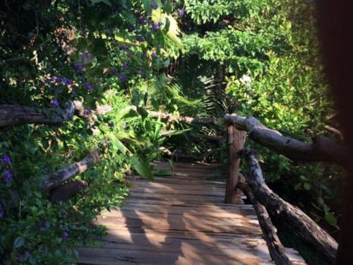 Ban Lung Cabin | Tree Top Eco-Lodge