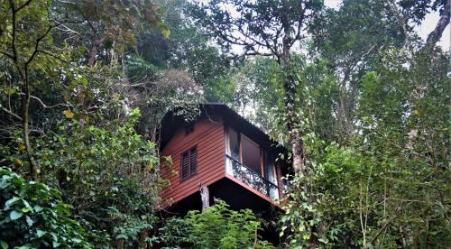Vythiri Villa | TREE6 WAYANAD