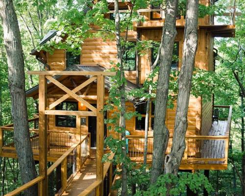 Millersburg House | Treehouse #2 by Amish Country Lodging