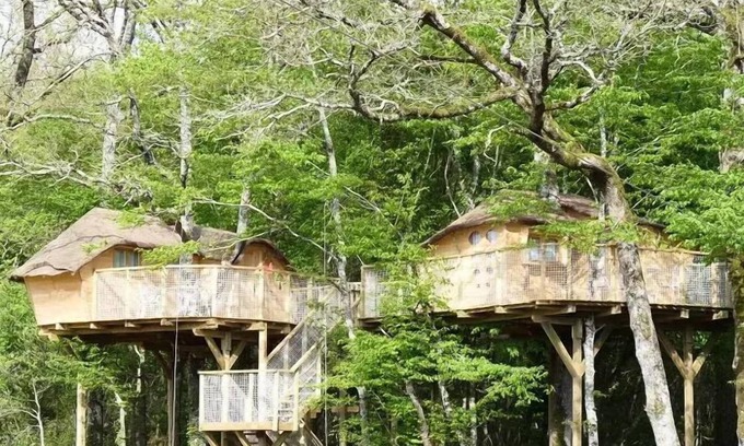 Dienne Cabin | Treehouse 4 People