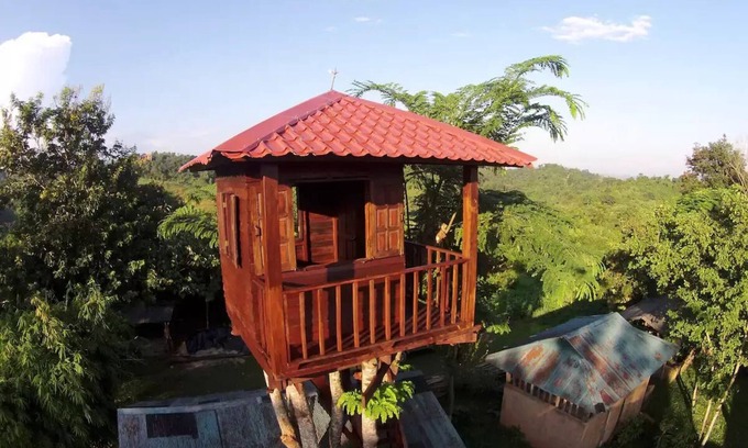 Mae Fa Luang House | Treehouse and swimming pool