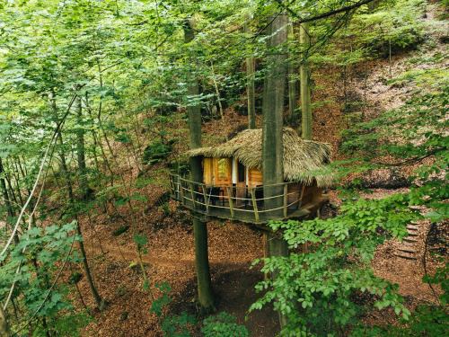 Trencianske Teplice Other | Treehouse Trenčianske Teplice