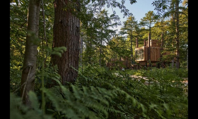 Maubray Villa | Treeloft adventure in nature for 4 people 13