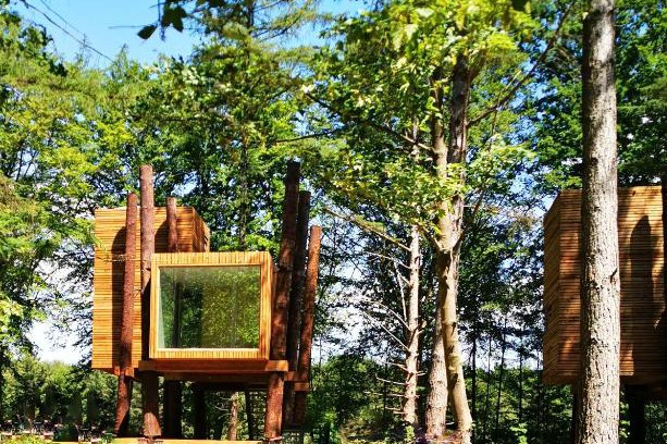 Maubray Villa | Treeloft adventure in nature for 4 people 7