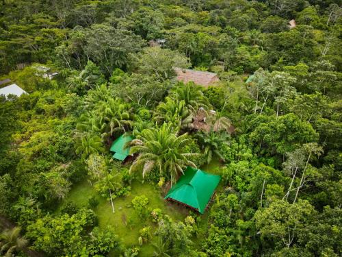Puerto Maldonado Other | Tronco Tambopata Adventure