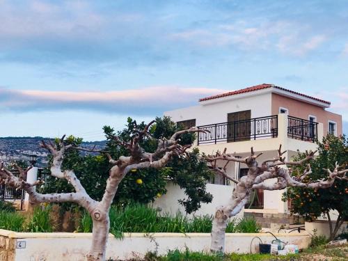 Peyia Town Villa | TROUZINI VILLA 2