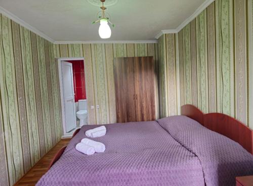 Likani Apartment | Tsemi Forest ცემი