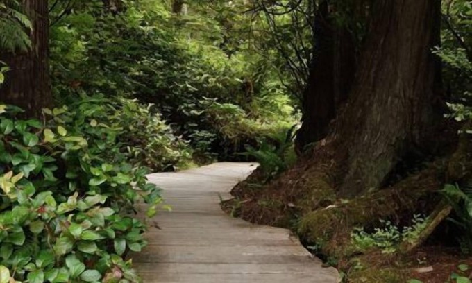 Tofino House | Tucked In The Rainforest, Across The Road From Tofino's Best Surf! Soaker Tub!