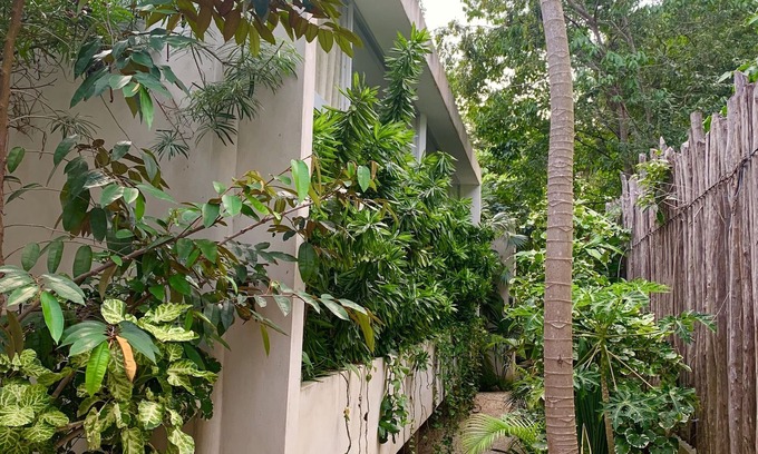 La Veleta Apartment | TULUM-LA VELETA Designer Loft 2 (Fast Internet)