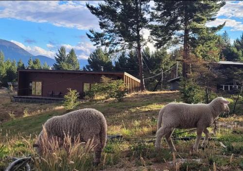 Cochrane Apartment | Turismo y Cabañas Dragon de La Patagonia
