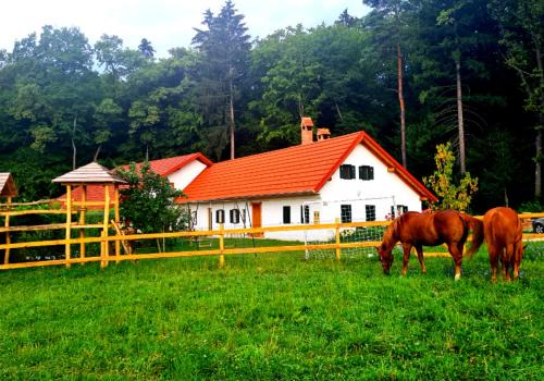 Majsperk House | Turistična kmetija Hiša ob gozdu pri Ptuju