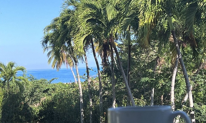 Rincon House | TURQUESA del MAR, private tropical oasis just steps to beach and town center!