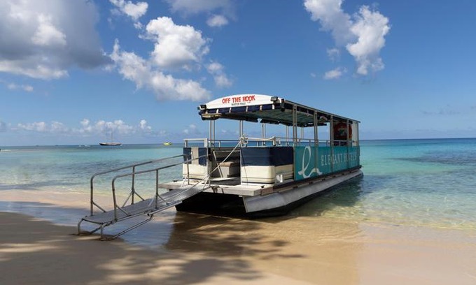 Maxwell Hotel | Turtle Beach by Elegant Hotels All Suites All Inclusive