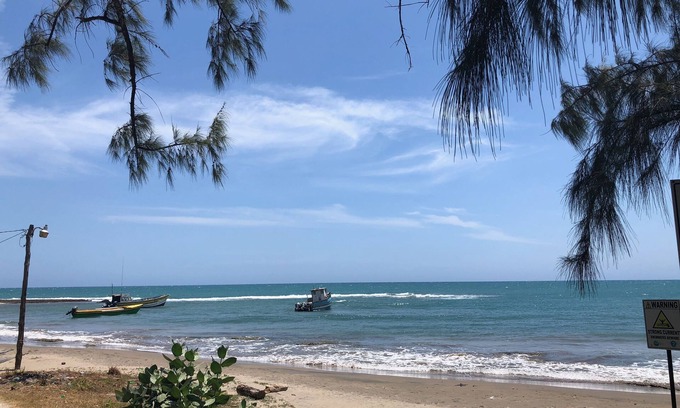 Treasure Beach Villa | Turtles Nest Villa