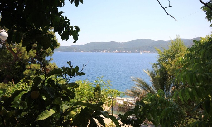 Viganj Apartment | Two bedroom apartment near beach Viganj, Pelješac (A-633-c)