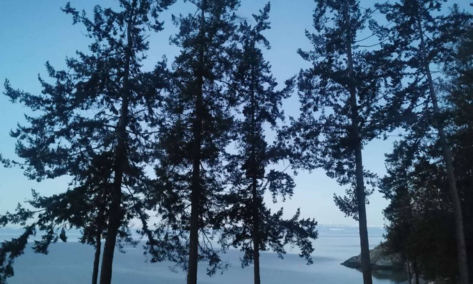 Powell River Apartment | U1 Seaside Serenity: Seal Bay Glamping Retreat