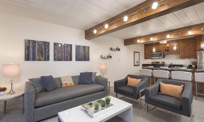 Aspen Apartment | Updated 2BR in the Heart of Aspen
