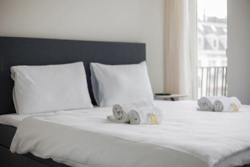 Sihlfeld Apartment | Urban Oasis with Queen Bed and View BE-24