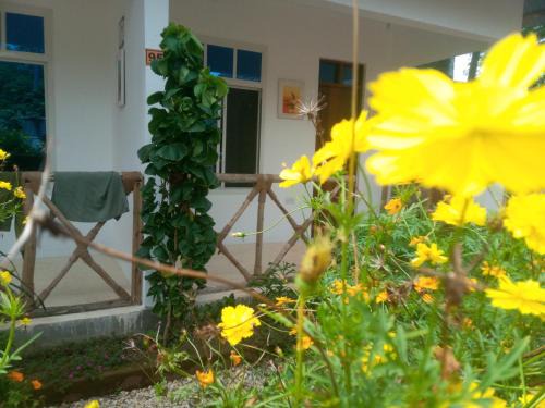 Unguja City Cabin | Usumba Lodge