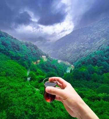Caykara House | Uzungöl’e Yakın Doğadaki Eviniz