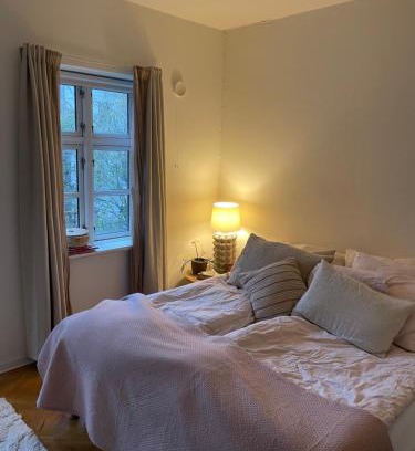 Odense House | Værelse udlejes i herskabslejlighed midt i Odense by